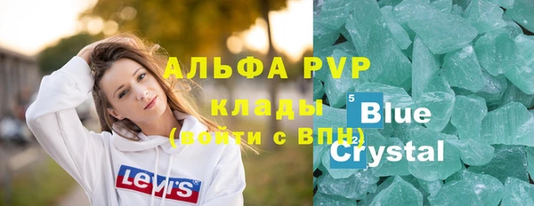 прущий лед Вяземский