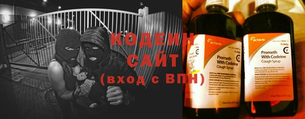 прущий лед Вяземский