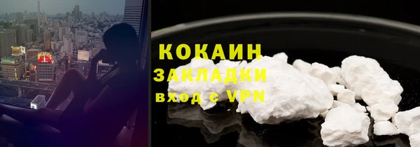 прущий лед Вяземский