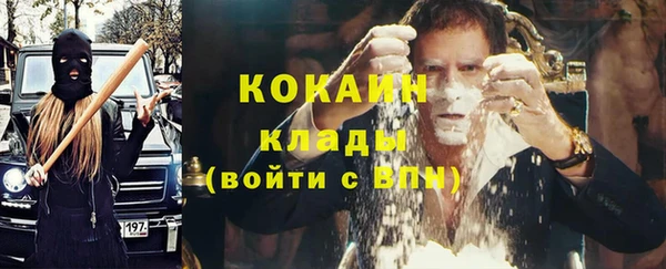 прущий лед Вяземский