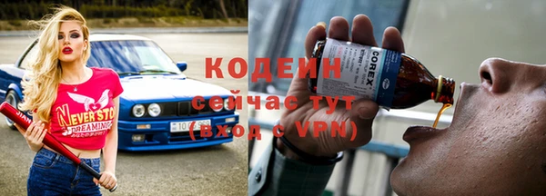 прущий лед Вяземский